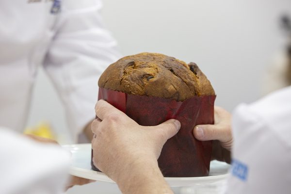 Registrations are open for the America selection for the Panettone World Cup
